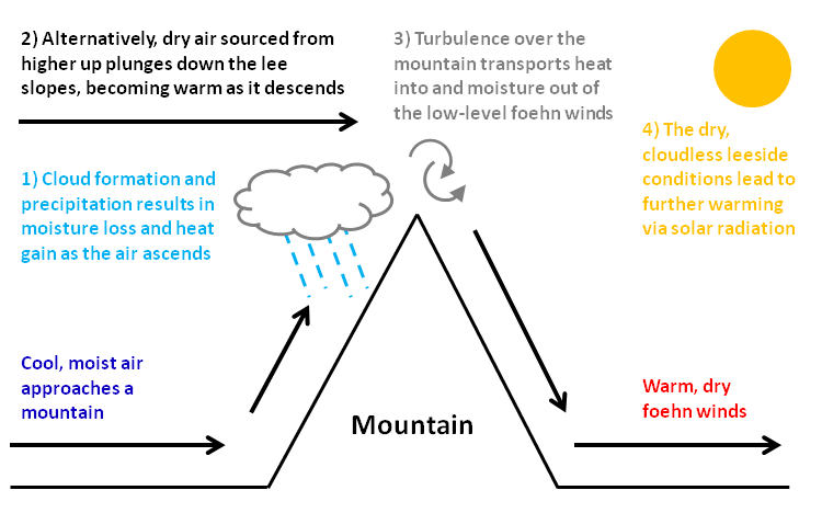 Diagram showing the foehn effect as air approaches a mountain from the west and is forced to rise. Cool, moist air approaches a mountain. Stage 1: Cloud formation and precipitation results in moisture loss and heat gain as the air descends. Stage 2: Alternatively, dry air sourced from higher up plunges down the lee slopes, becoming warm as it descends. Stage 3: Turbulence over the mountain transports heat into and moisture out of the low-level foehn winds. Stage 4: The dry, cloudless leeside conditions lead to further warming via solar radiation. The result is warm, dry foehn winds.