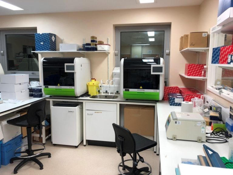 Mycology laboratory where fungal diagnostics are carried out