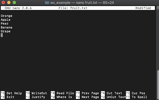 screenshot of nano with fruits names typed in
