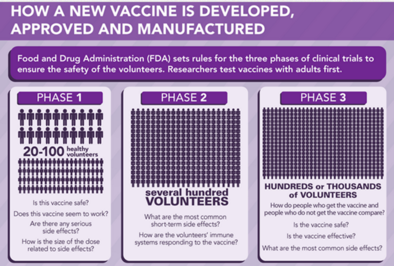 An infographic showing the 3 different stages of how a vaccine is developed, approved and manufactured. It shows the different phases and the questions that would be asked at each stage