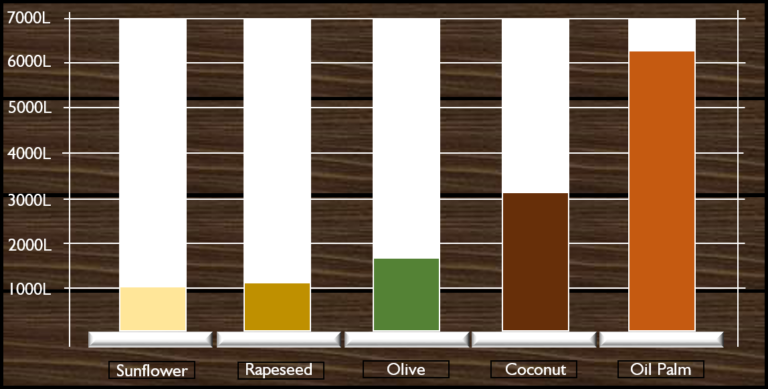 Graph showing the yield, in litres, of oil per hectare of crop. 1000 litres per hectare for sunflower, 1100 litres per hectare for rapeseed, 1700 litres per hectare for olive, 3100 litres per hectare for coconut and 6200 litres per hectare for Oil Palm. Oil palm has double the yield of the next highest crop, coconut.