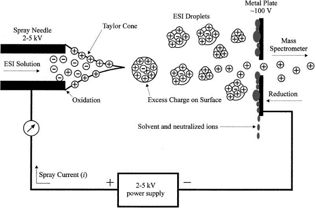 Diagram showing electro-spray ionization