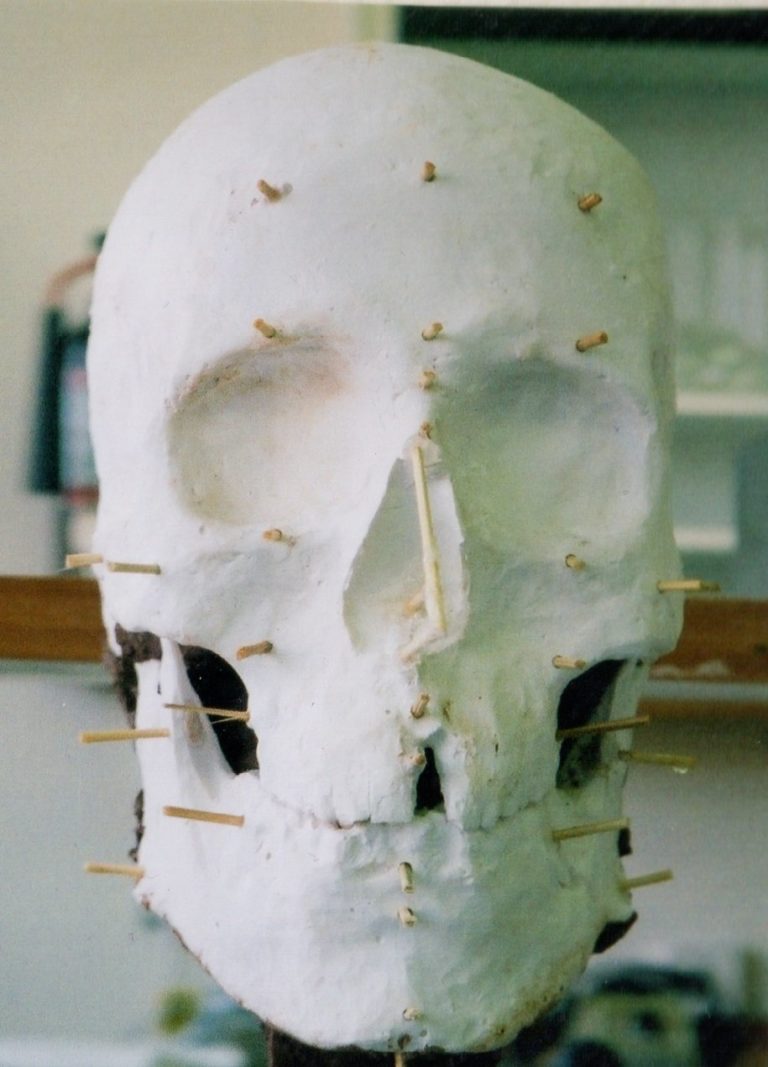 The plaster cast of Mr. X’s skull, created by Nikki Taylor