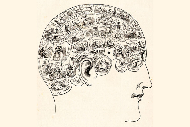 A profile illustration of a person's head demonstrating the different regions of the brain according to phrenology
