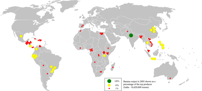 Map showing the export rates of bananas across the world, India being the biggest exporter.