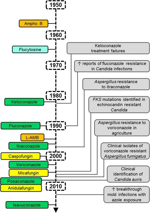 timeline of antifungal resistance development from 1950 to present day. Shows a relationship between newly introduced antifugals and resistance developing a few years later