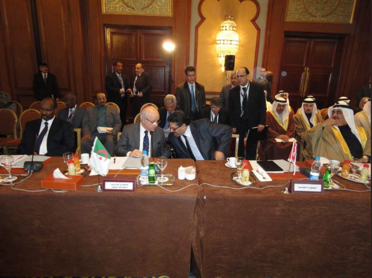 International conference on Syria, in Cairo, 2012 