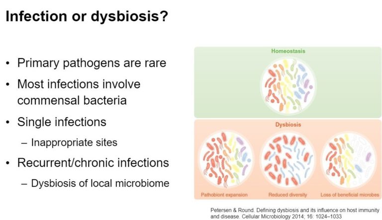 A screenshot of a powerpoint slide showing what dysbiosis is.