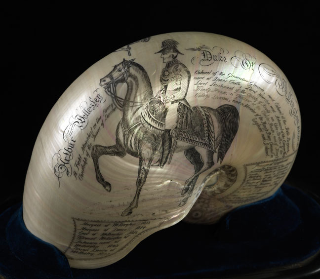 Engraved nautilus shell showing Wellington