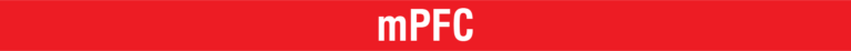 A banner reading "mPFC"