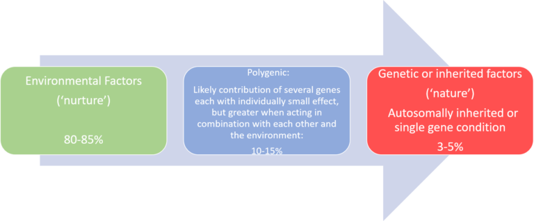 Cancer in the family: importance? Arrow from environmental factors: nurture 80-85%; polygenic: likely contribution of several genes each with individually small effect, but greater when acting in combination with each other and the environment 10-15%; to genetic factors: nature Autosomally inherited or single gene condition 3-5%