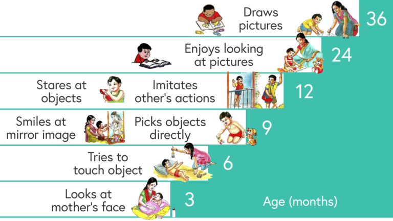 Illustration of the expected visual milestones for children from the ages of 3 to 36 months, as described below