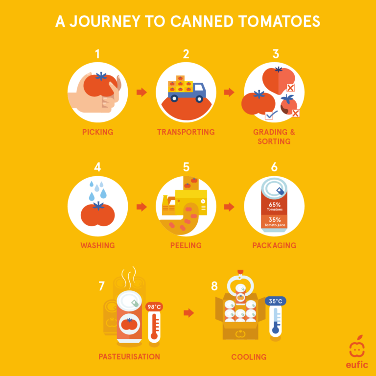 tomato canning process in 8 illustrated steps: picking (hand holding a tomato), transporting (lorry carrying a load of boxes of tomatoes), grading and sorting (3 tomatoes of different sizes and shapes, 2 are crossed as unacceptable and 1 ticked as acceptable), washing (tomato with water droplets), peeling (conveyor belt showing tomatoes entering a machine and emerging peeled), packaging (tin labelled 65% tomatoes, 35% tomato juice), pasteurisation (tomato can with a thermometer reading 98 degrees Celsius), cooling (box of cans of tomatoes and a thermometer reading 35 degrees Celsius)