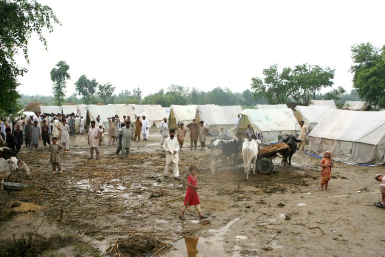 Photograph of IDP camp in Lunda village in the Charsadda region of Pakistan, following the 2010 floods