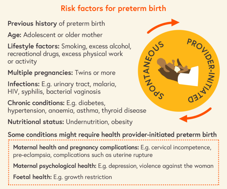 Summary list of the main risk factors for preterm birth, as described above