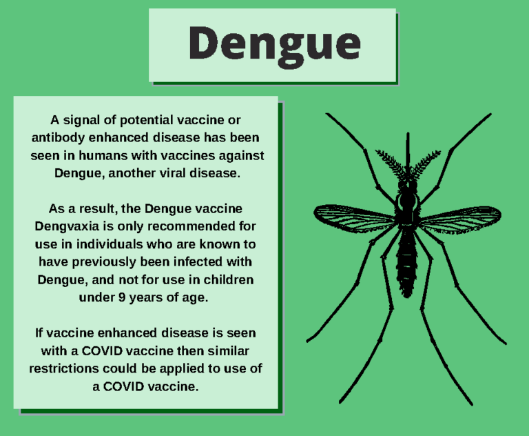 Picture of a mosquito and child next to text discussing the Dengue viral disease, where the vaccine is not recommended for children under 9 years of age due to vaccine enhanced disease