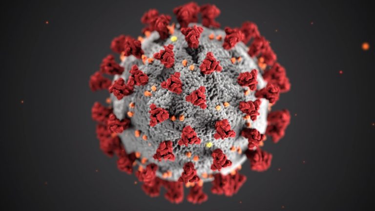 Illustration, created at the Centers for Disease Control and Prevention (CDC), revealing ultrastructural morphology exhibited by coronaviruses. A novel coronavirus, named Severe Acute Respiratory Syndrome coronavirus 2 (SARS-CoV-2), was identified as the cause of an outbreak of respiratory illness first detected in Wuhan, China in 2019. The illness caused by this virus has been named coronavirus disease 2019 (COVID-19).