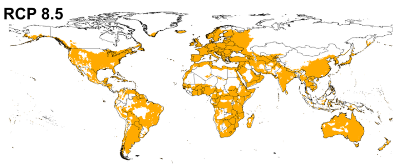 An illustrated map of the world with parts shaded in yellow to highlight potential suitable conditions for bluetongue virus