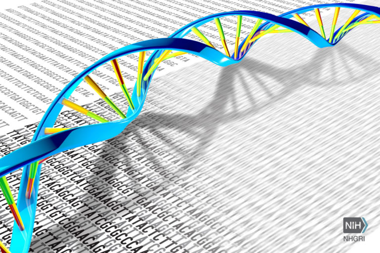 DNA Double Helix and Sequence