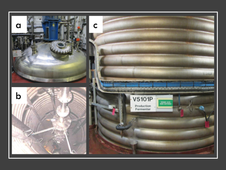 Three pictures of the large scale fermentors in GSK, the first is the same as the picture at the beginning of the article. The second shows the inside of the empty fermenter vessel. Visible are the heating coils inside the vessel and the impeller used to mix the fermenter contents. A small human figure can be seen in the bottom of the vessel as an indication of scale. The third picture shows the heating coils from the outside of the vessel. These are used to circulate temperature-controlled liquid, allowing the fermenter temperature to be regulated.