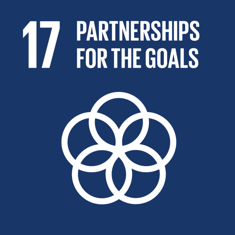 Icon of five circles joining in the middle with the title "Partnerships for the goals"