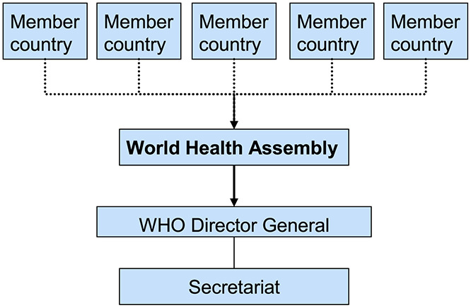 UN-type international health governance
