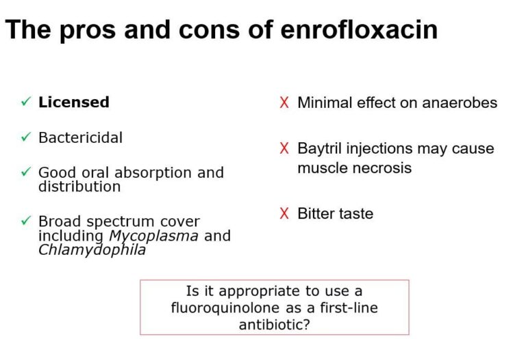 A screenshot of a powerpoint showing the pros and cons of using enrofloxacin. Pros include that it is licensed, bactericidal and has a broad spectrum cover and cons include that it has minimal effect on anaerobes, injections may cause muscle necrosis and it has a bitter taste.
