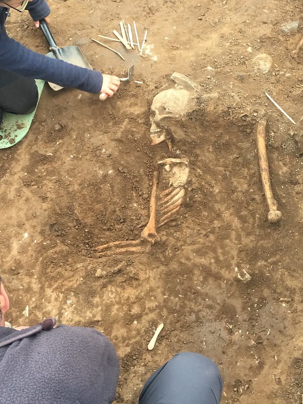 A skeleton that has been partially excavated such that the skull, ribs and some long bones have been revealed. A person is in the process of excavating it