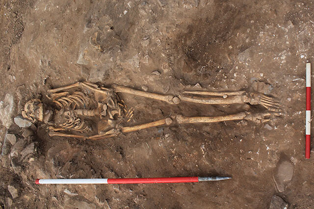 Well preserved skeleton in the ground. This is from the site of Lindisfarne
