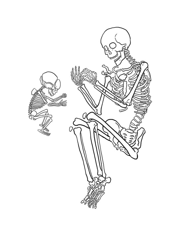 A line drawing of an infant skeleton and the skeleton of an adult female. Both are laying on their sides and facing each other