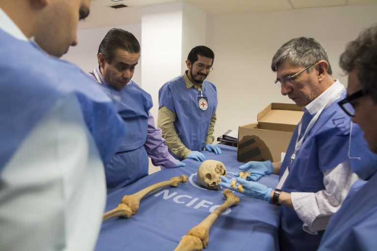 Forensic anthropologists working with the ICRC to examine a human skeleton laid out on a lab table