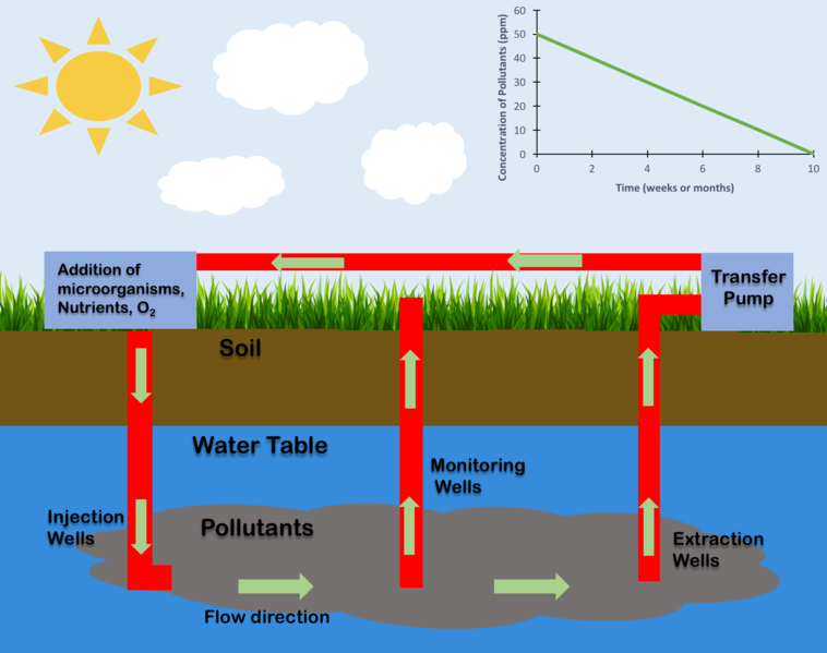 Diagram to show contaminants that leak into groundwater and the flow which can recirculate water through a transfer pump and inject microorgnanisms until the concentration of pollutants decreases and the clean water can be utilized. The chart in the upper right hand corner depicts a sample trend for the concentration of pollutants over several weeks or months