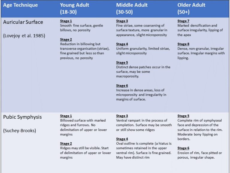 Table summarising the age-related changes in the auricular surface and public symphysis