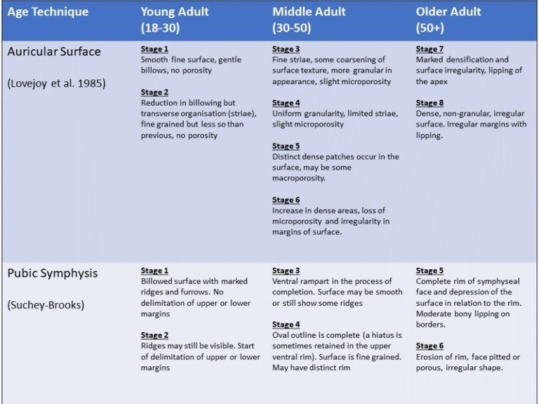 The Suchey-Brooks method for estimating age using the development of