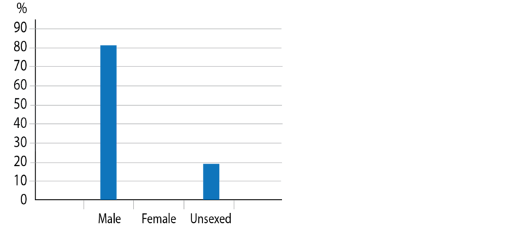 Graph showing age sex estimation of all the skeletons recovered during excavation: Thirteen (81.3%) of the sixteen adults proved to be men. The sex of the remaining three adults could not be estimated 