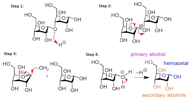 maltodextrin hydrolysis