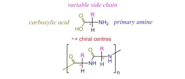 maltodextrin hydrolysis