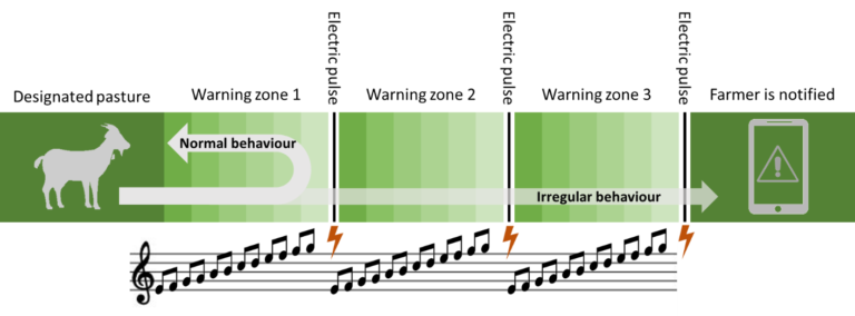 Figure 2 - Schematic representation of the 3 repeated cycles of audio warnings (increasing in tone and intensity) followed by an electric pulse before the farmer is notified about the 'escaped' animal