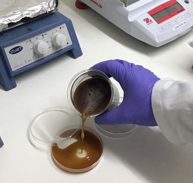 pouring liquid agar into petri dish