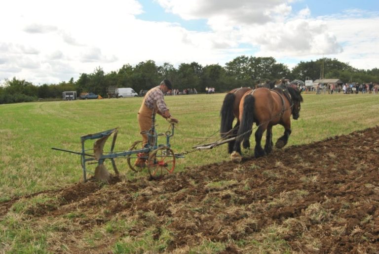 Traditional plough being pulled by two horses and operated by a farmer