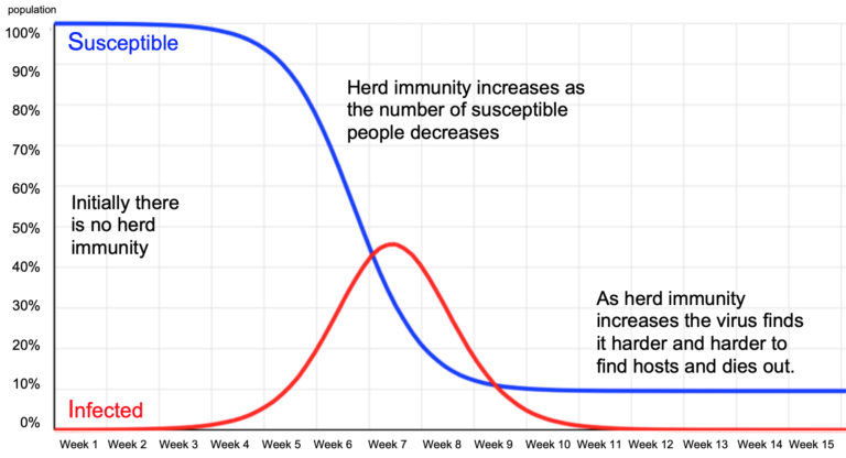 Graphs illustrating herd immunity