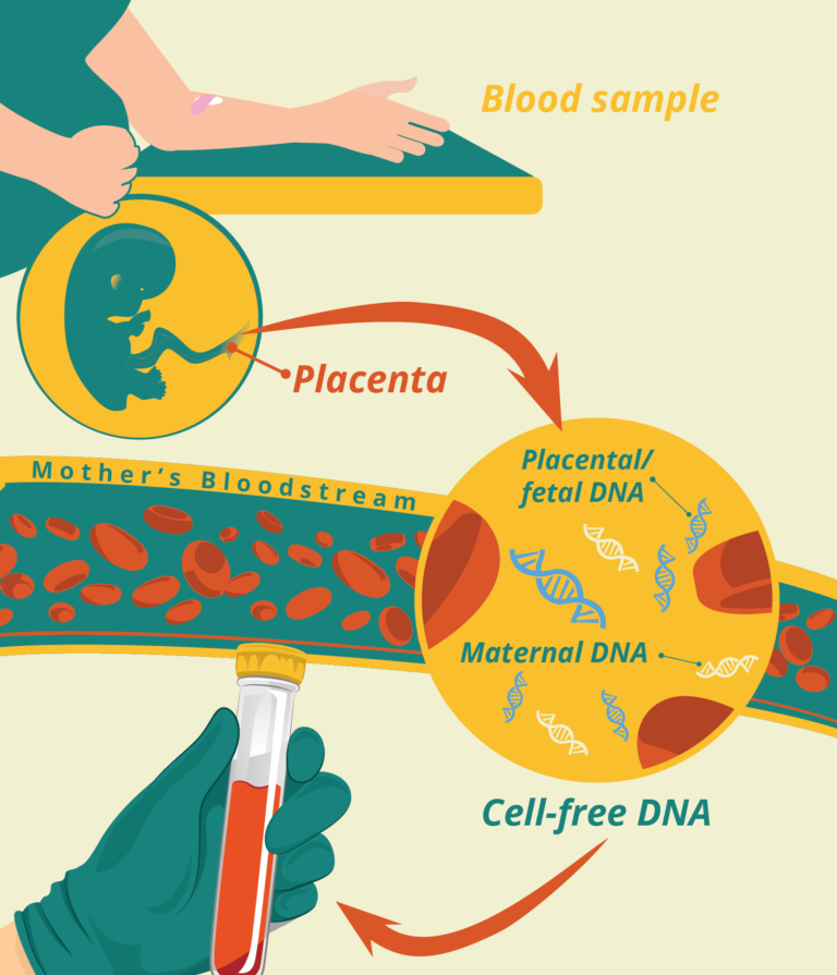 What Is Prenatal Testing