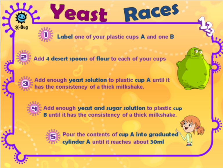 summary of instructions for yeast races activity