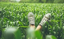 Picture of someone wearing a pair of sneaker in a grass background