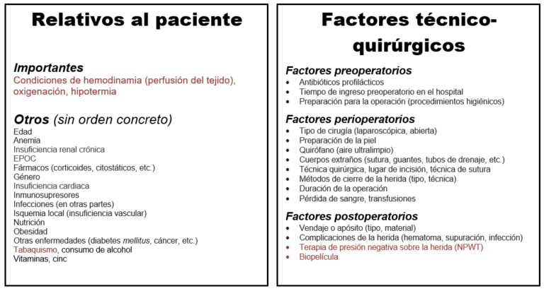 Image showing the various factors of importance for wound healing including patient-related factors and technical-surgical factors