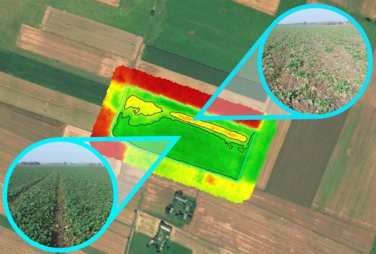 Satellite photo of a patchwork of green fields with an area in the centre highlighted in red, yellow and green. Two photos indicated the condition of the plants in different coloured zones - healthy looking in the green zone, sparse with lower ground cover in the yellow zone.