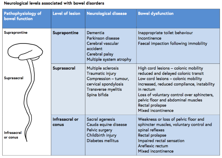 Neurological levels associated with bowel disorders