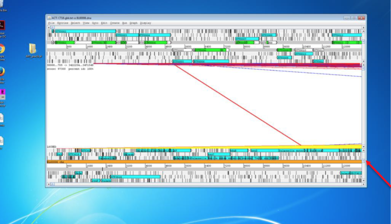 ACT screenshot with annotated feature of the BL6006 genome now displayed as blue-coloured boxes