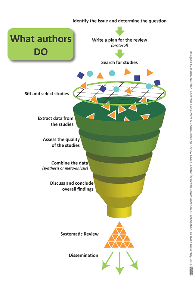 Graphic illustration of what systematic review authors do