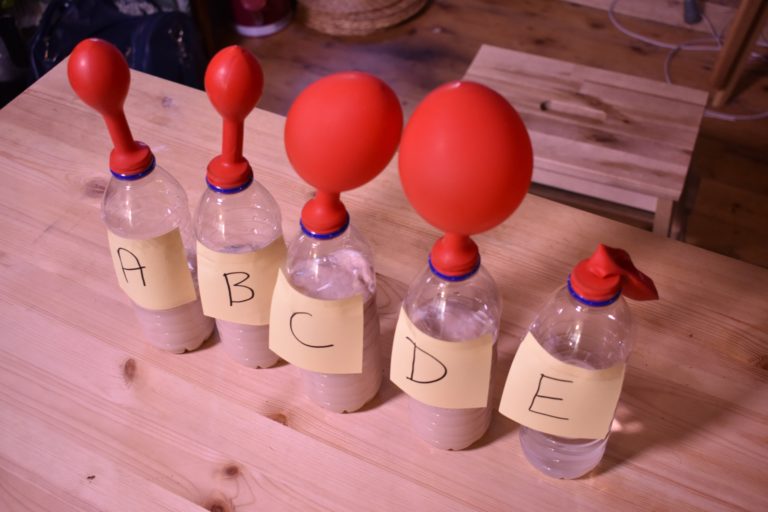 Five bottles lined up in a row and labelled A-E. Each bottle has a balloon over the opening and each is inflated to a different degree.
